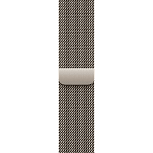 Смарт-часы Apple Watch Series 11 GPS + Cellular 42mm (корпус - натуральный титан, ремешок Milanese Loop натуральный титан, размер One Size) - 2